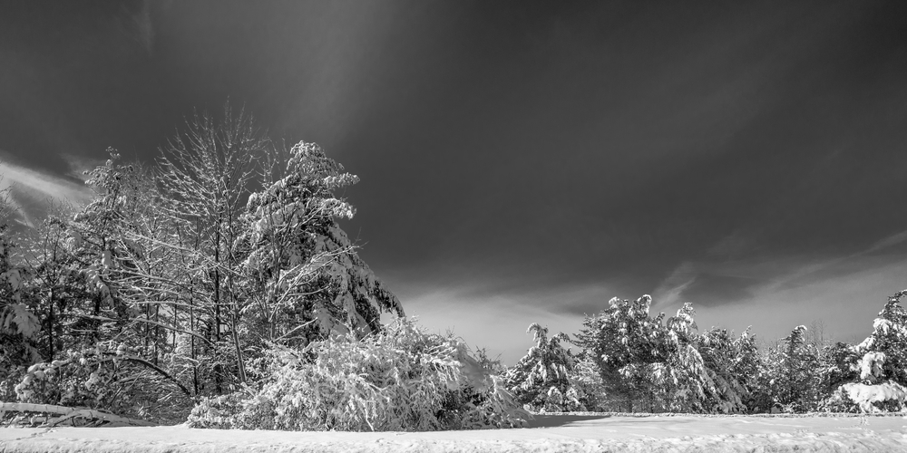 Zeiss Touit 12mm 1:2,8 für Sony (E-Mount)