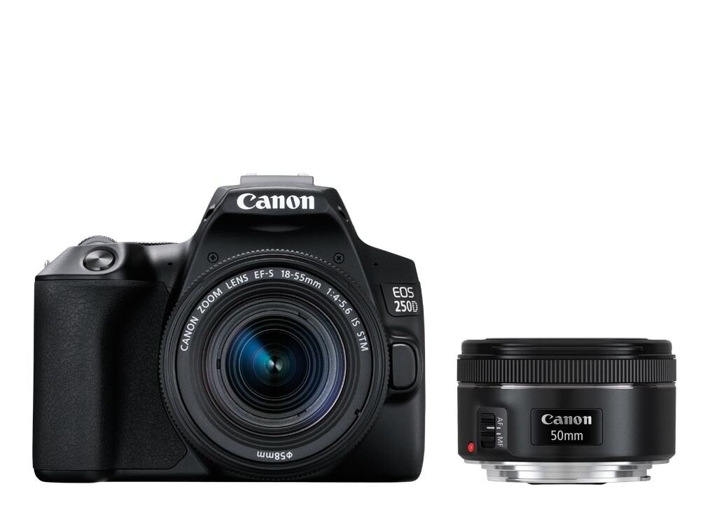 Canon EOS 250D inkl. EF-S 18-55mm 1:4-5,6 IS STM und EF 50mm 1:1,8 STM