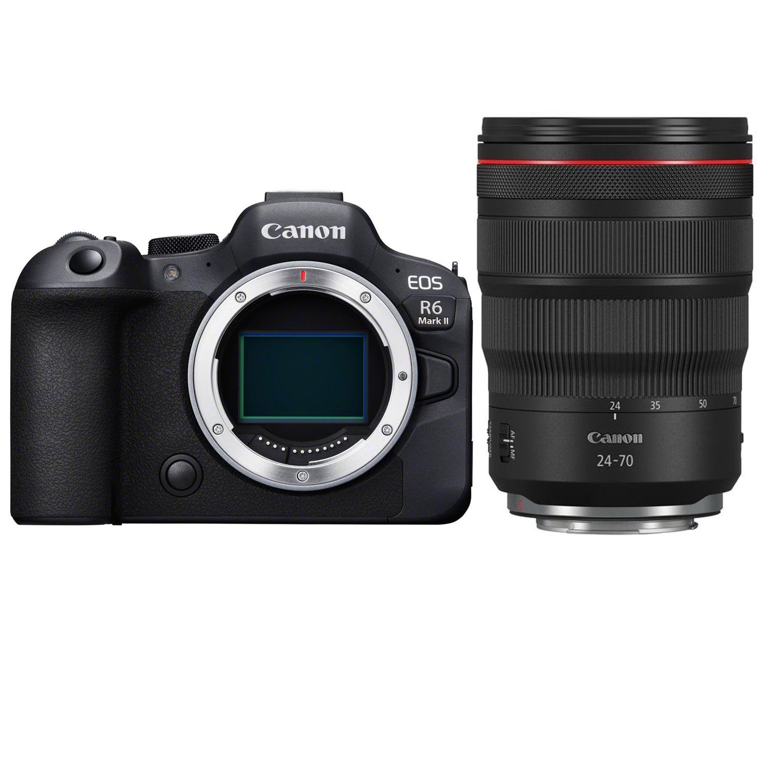 Canon EOS R6 Mark II + RF 24-70mm 1:2,8 L IS USM