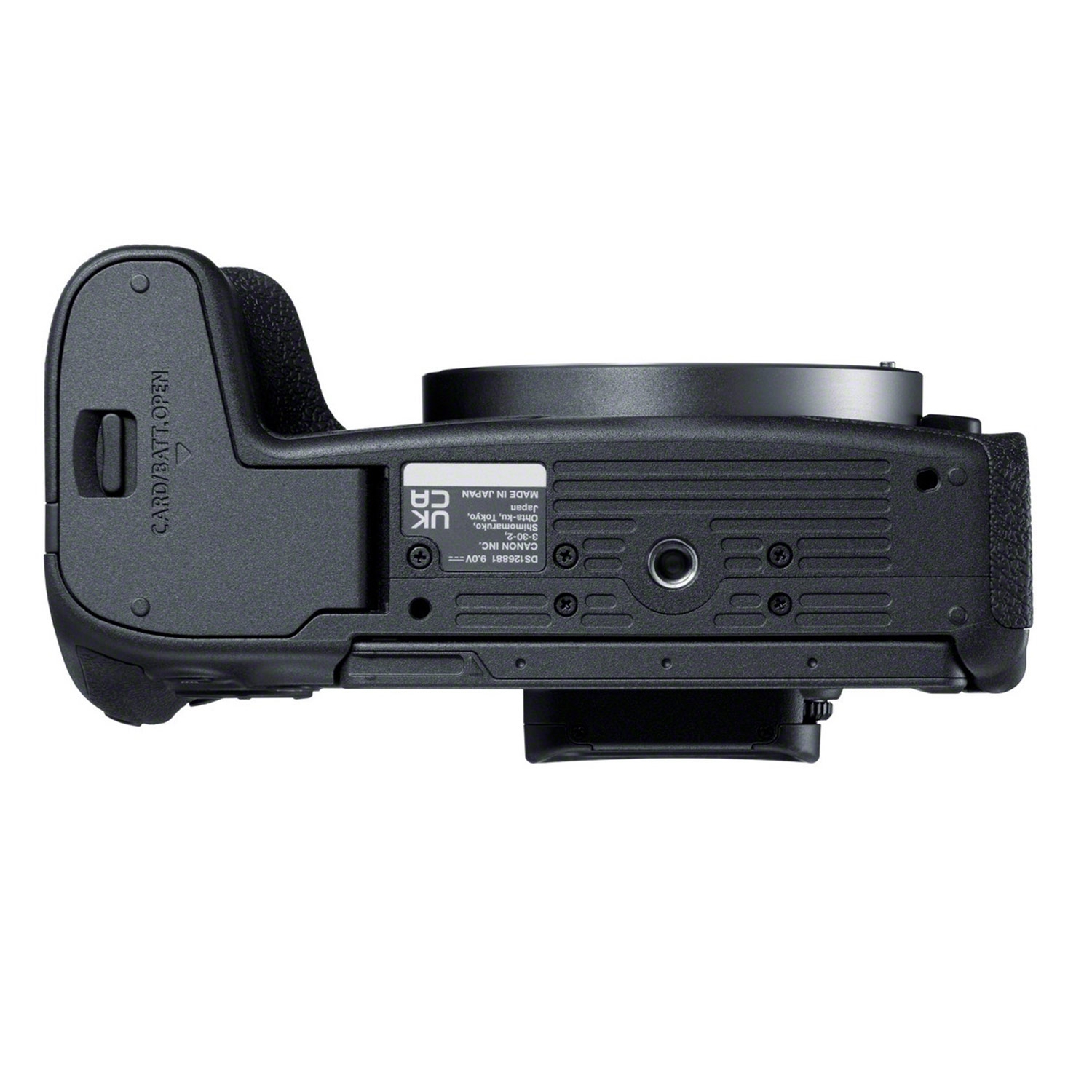 Canon EOS R8 + Canon RF 24-105mm 1:4-7,1 IS STM