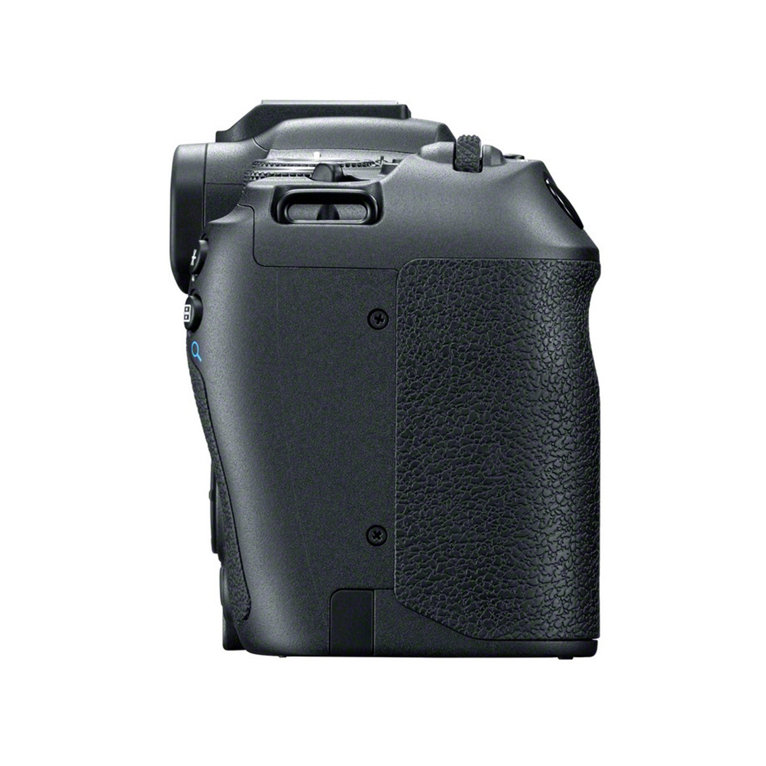 Canon EOS R8 + Canon EF-RF Adapter
