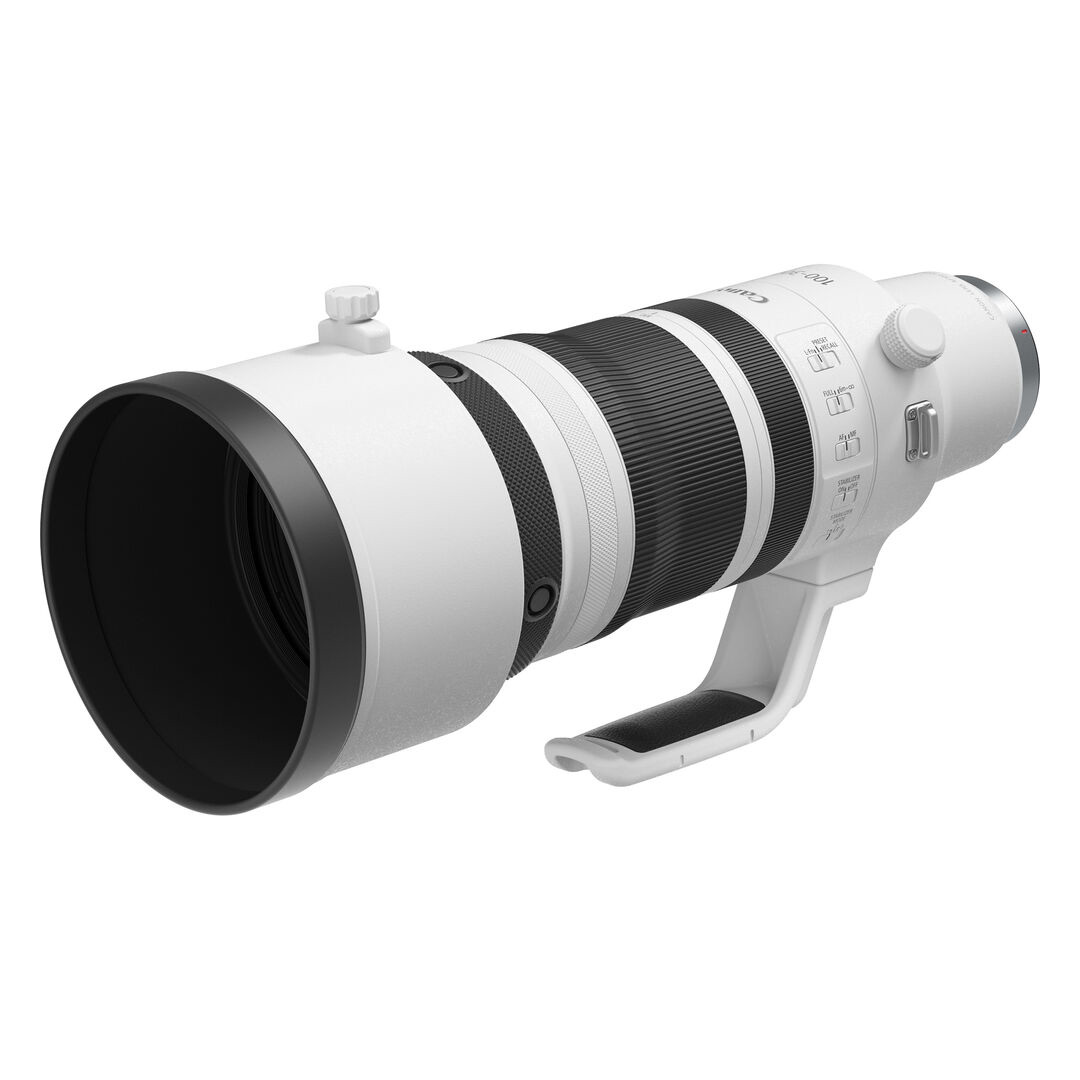 Canon RF 100-300mm 1:2,8 L IS USM