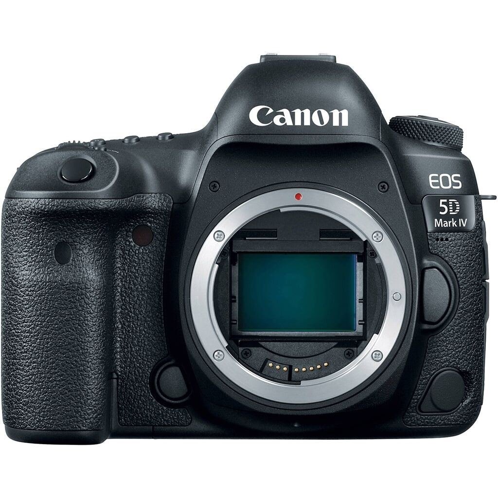 Canon EOS 5D Mark IV + EF 24-70mm 1:4 L IS USM