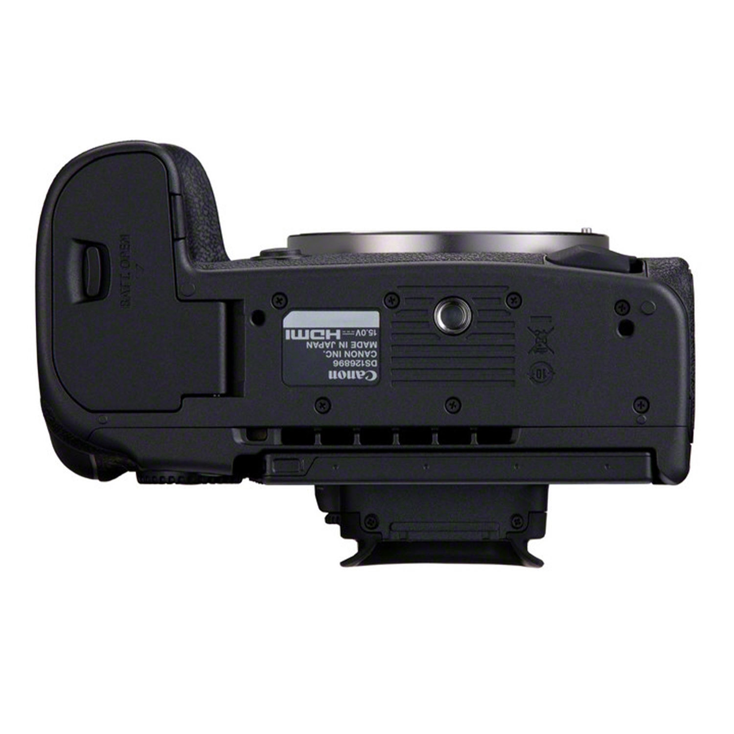 Canon EOS R5 Mark II + RF 100-500mm F4.5-7.1 L IS USM