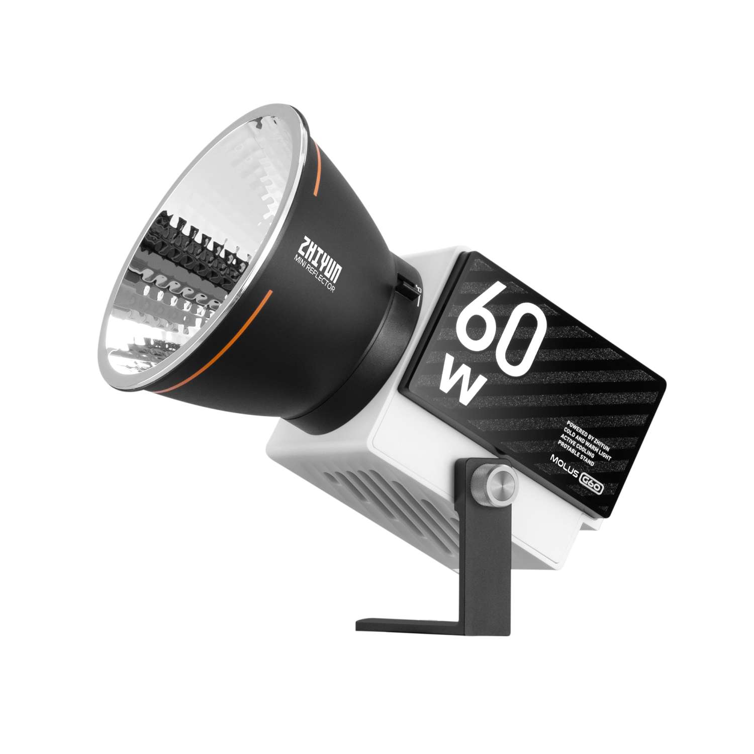 ZHIYUN LED Leuchte Molus G60