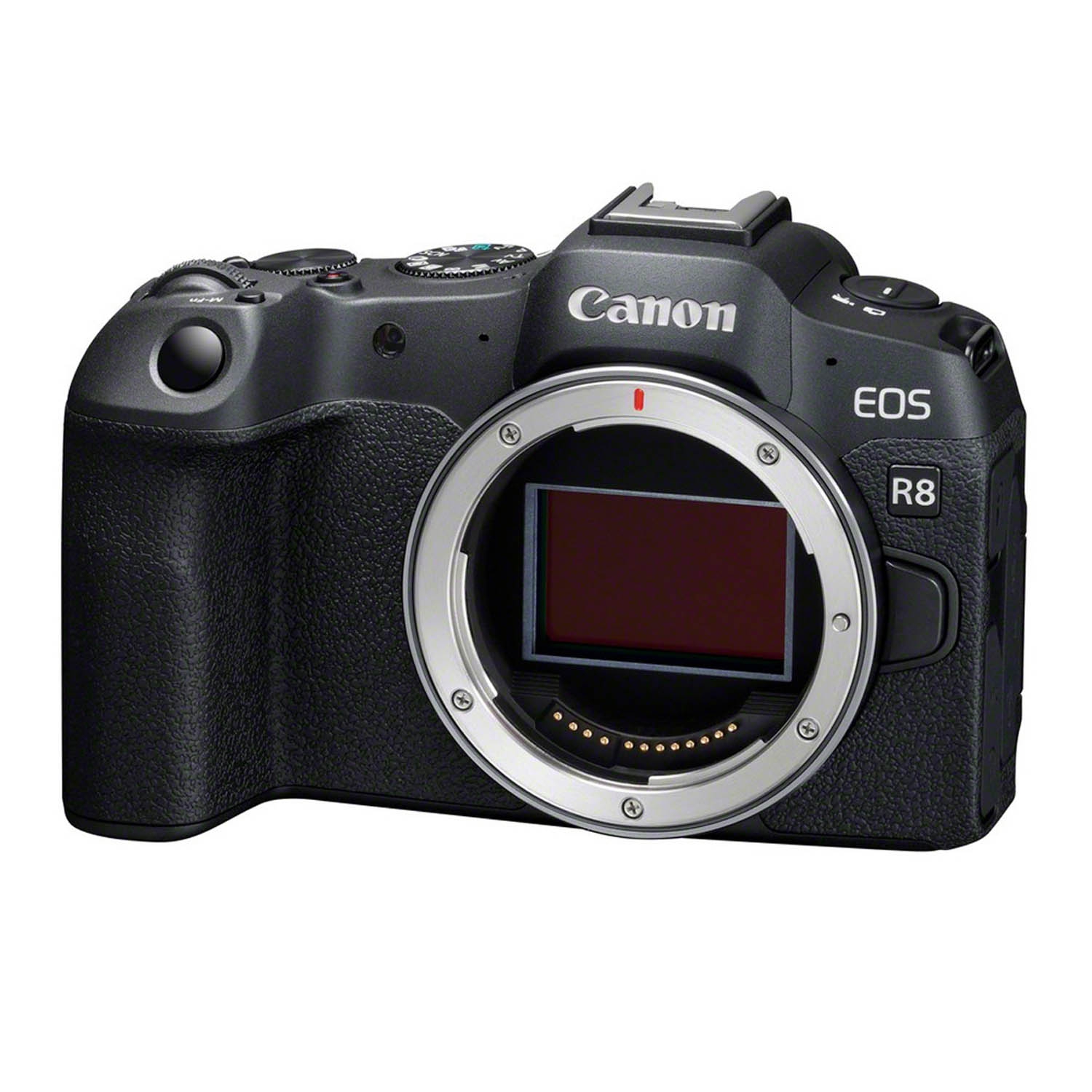 Canon EOS R8 Gehäuse inkl. Gratis Akku