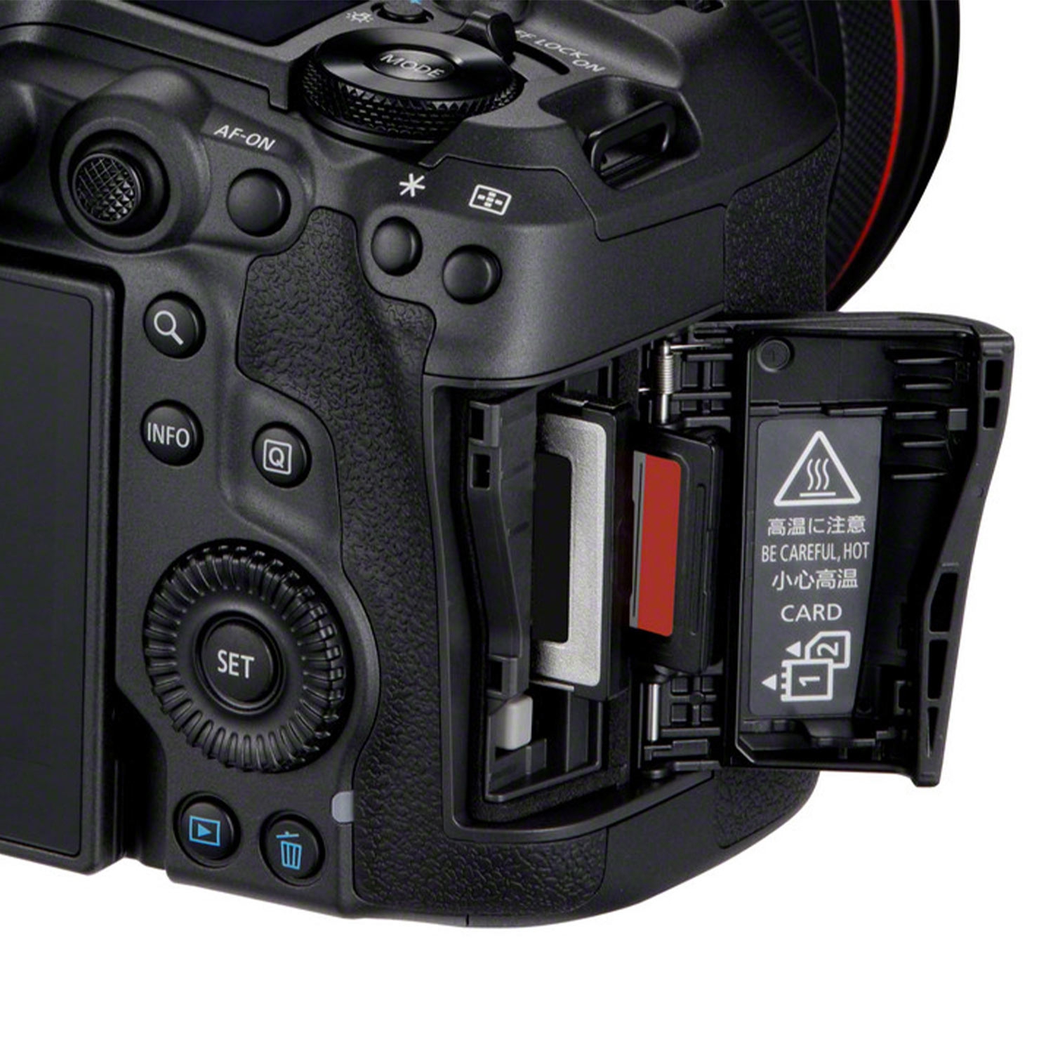 Canon EOS R5 Mark II + RF 200-800mm F6.3-9 IS USM