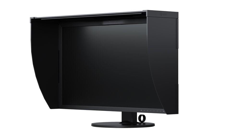 EIZO ColorEdge CG319X 31.1 Zoll Monitor schwarz / 78,9cm / 4096 x 2160 (4K) / IPS (Wide Gamut)