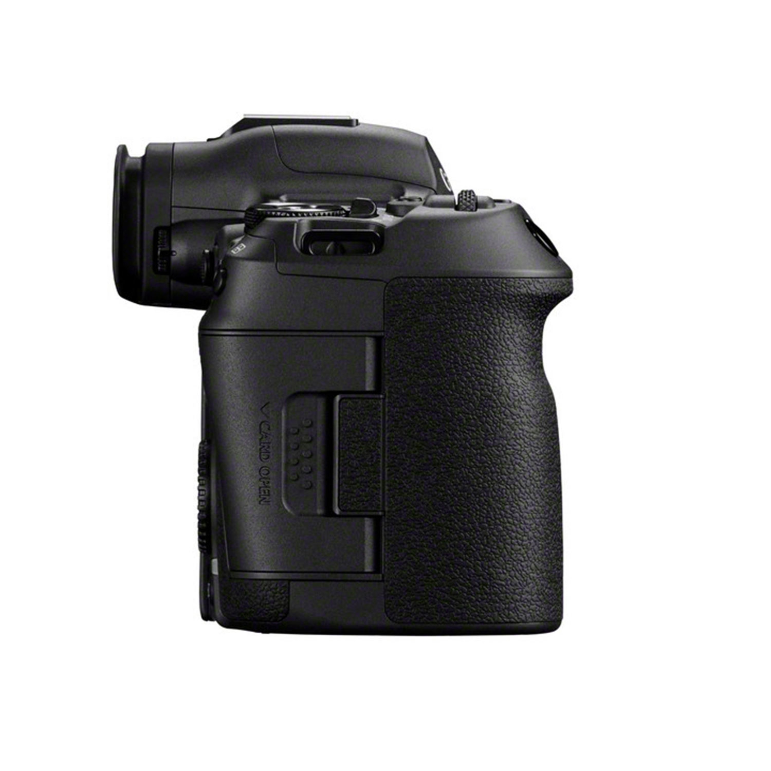 Canon EOS R5 Mark II + RF 200-800mm F6.3-9 IS USM