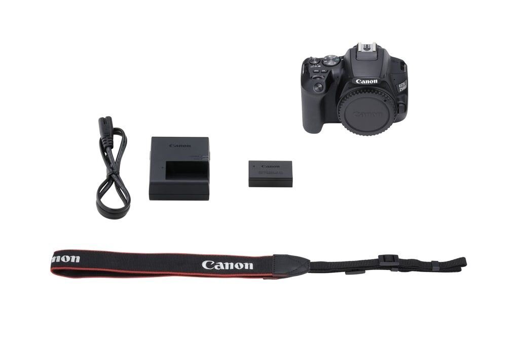 Canon EOS 250D + EF-S 18-55mm 1:4-5,6 IS STM