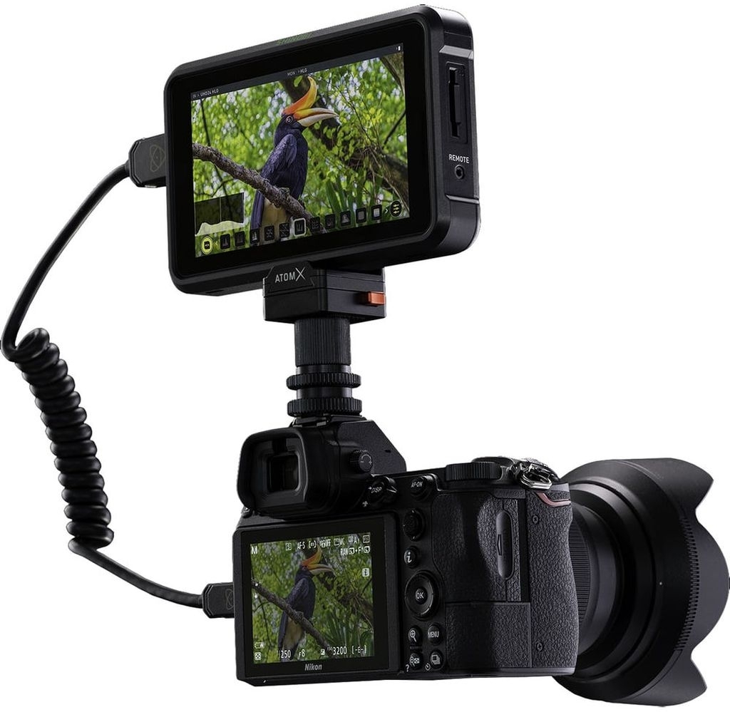 Atomos Shinobi HDMI 13,3cm (5,2") Monitor