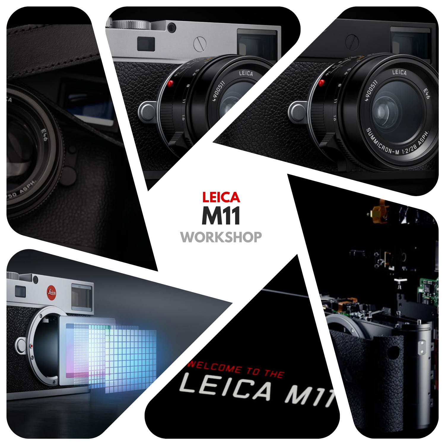 Leica M11 Workshop | 02.12.2023 - 10:00 -14:00 Uhr