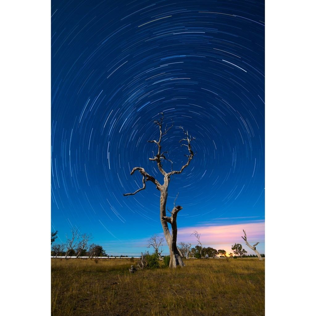 Samyang MF 14mm 1:2,8 RF für Canon EOS R