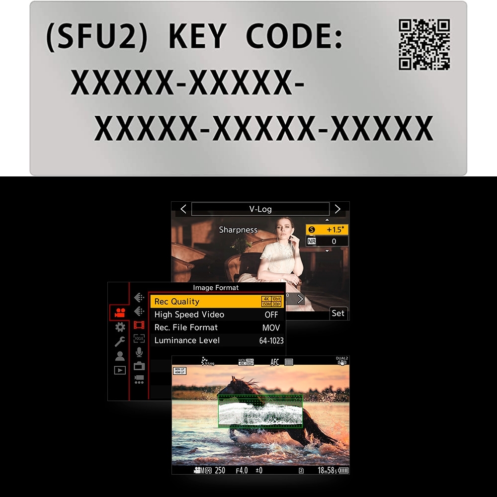 Panasonic LUMIX DMW-SFU2 - Upgrade Softwareschlüssel