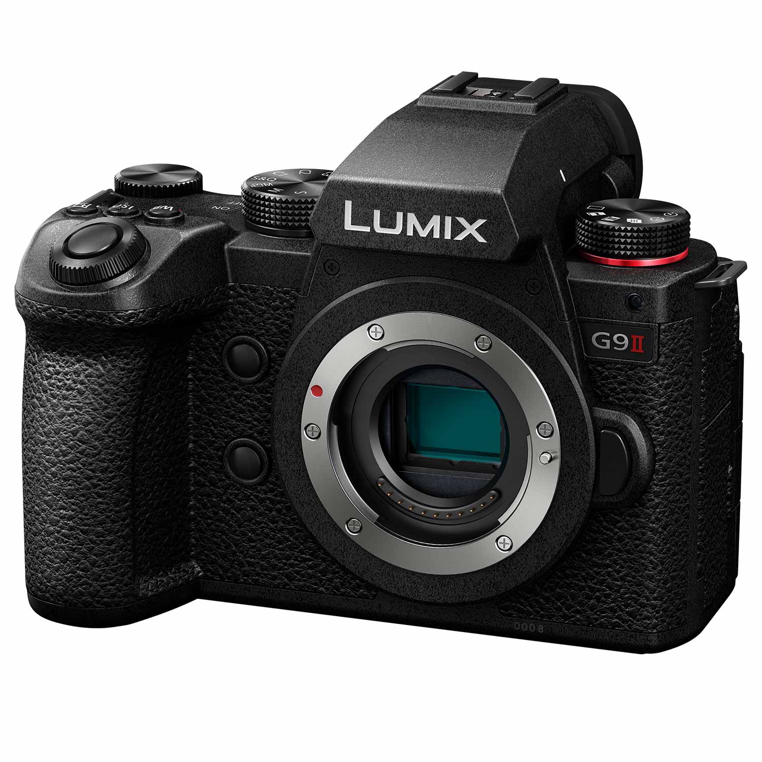 Panasonic LUMIX DC-G9 II + Panasonic 50-200mm 1:2,8-4 Leica DG Vario Elmarit O.I.S.