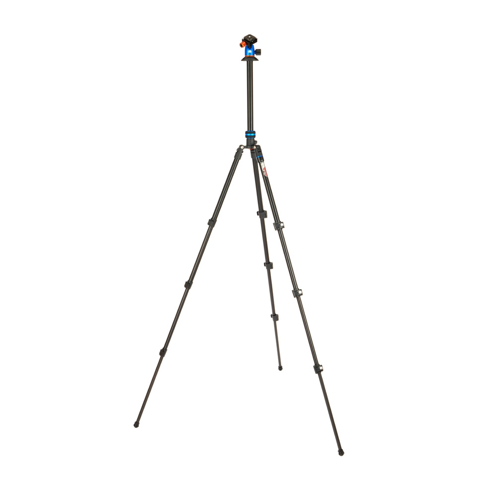 3 Legged Thing Punks Patti 2.0 + Airhed Blue & Black