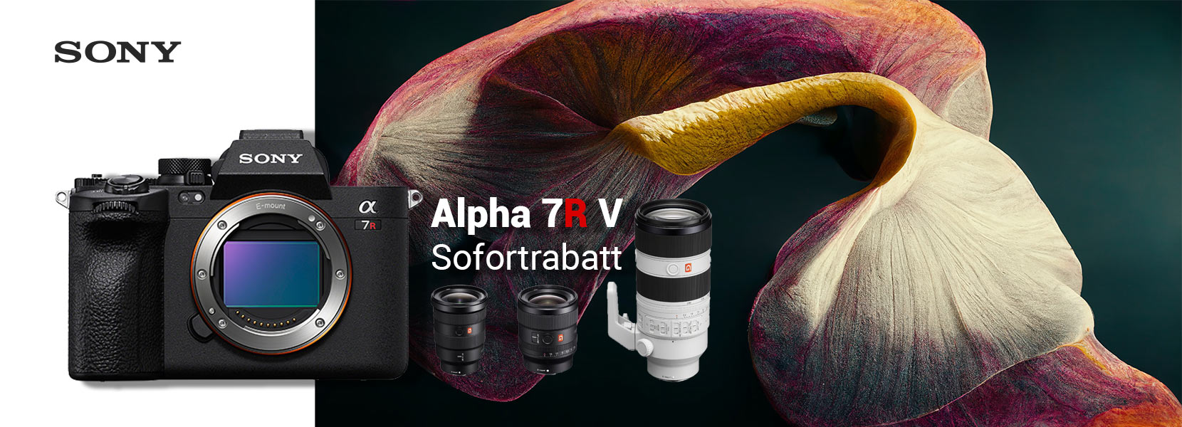 SONY ALPHA 7R V KOMBI-RABATT: 26.10. - 30.11.2022