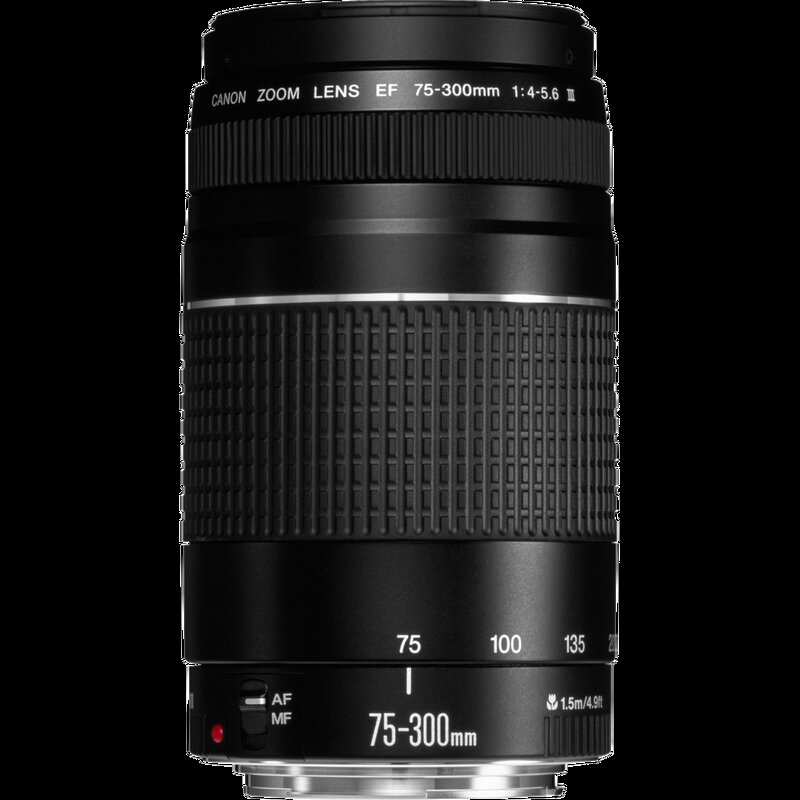 Canon EF 75-300mm 1:4-5,6 III