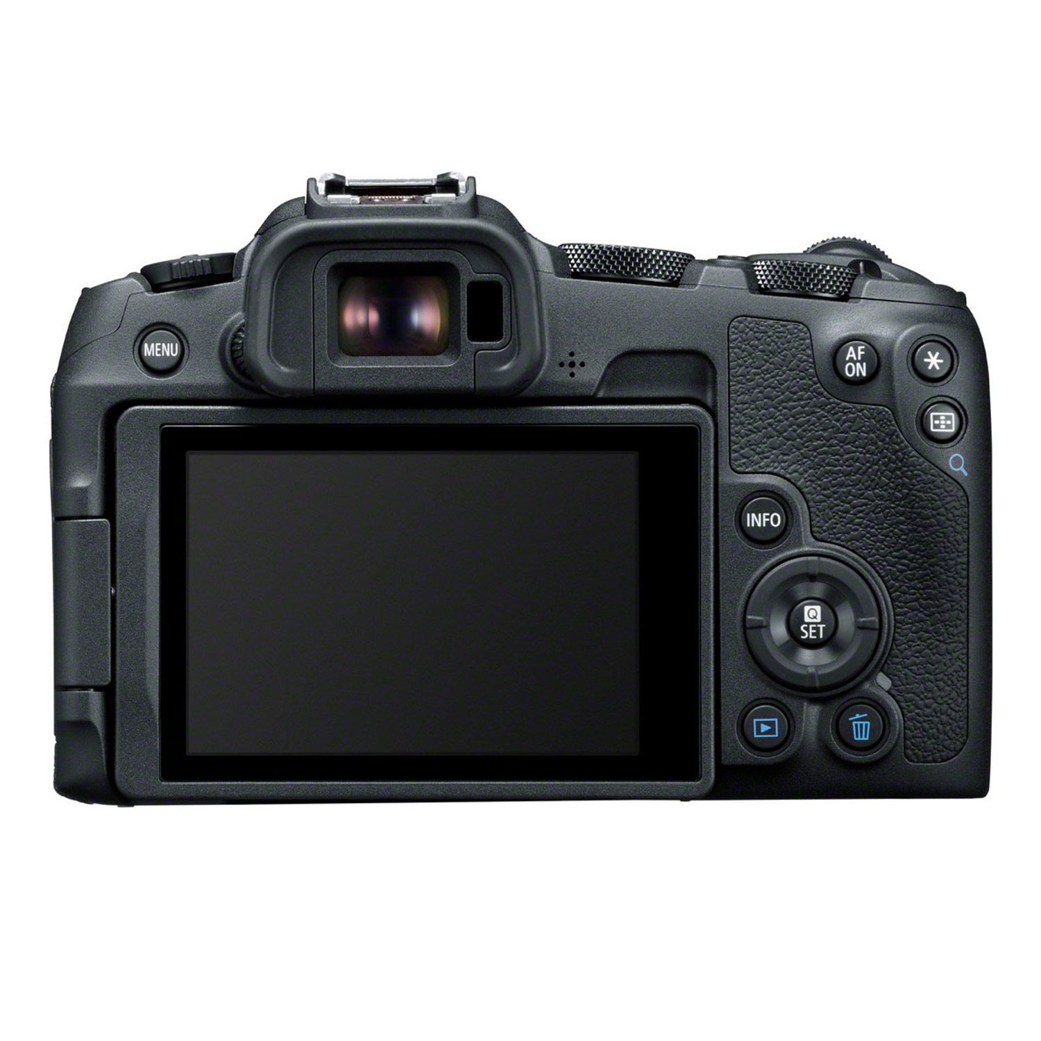 Canon EOS R8 + Canon EF-RF Adapter