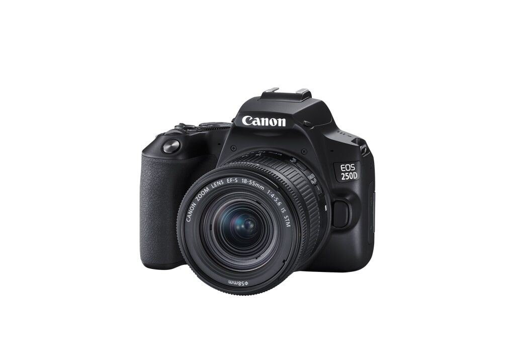 Canon EOS 250D + EF-S 18-55mm 1:4-5,6 IS STM