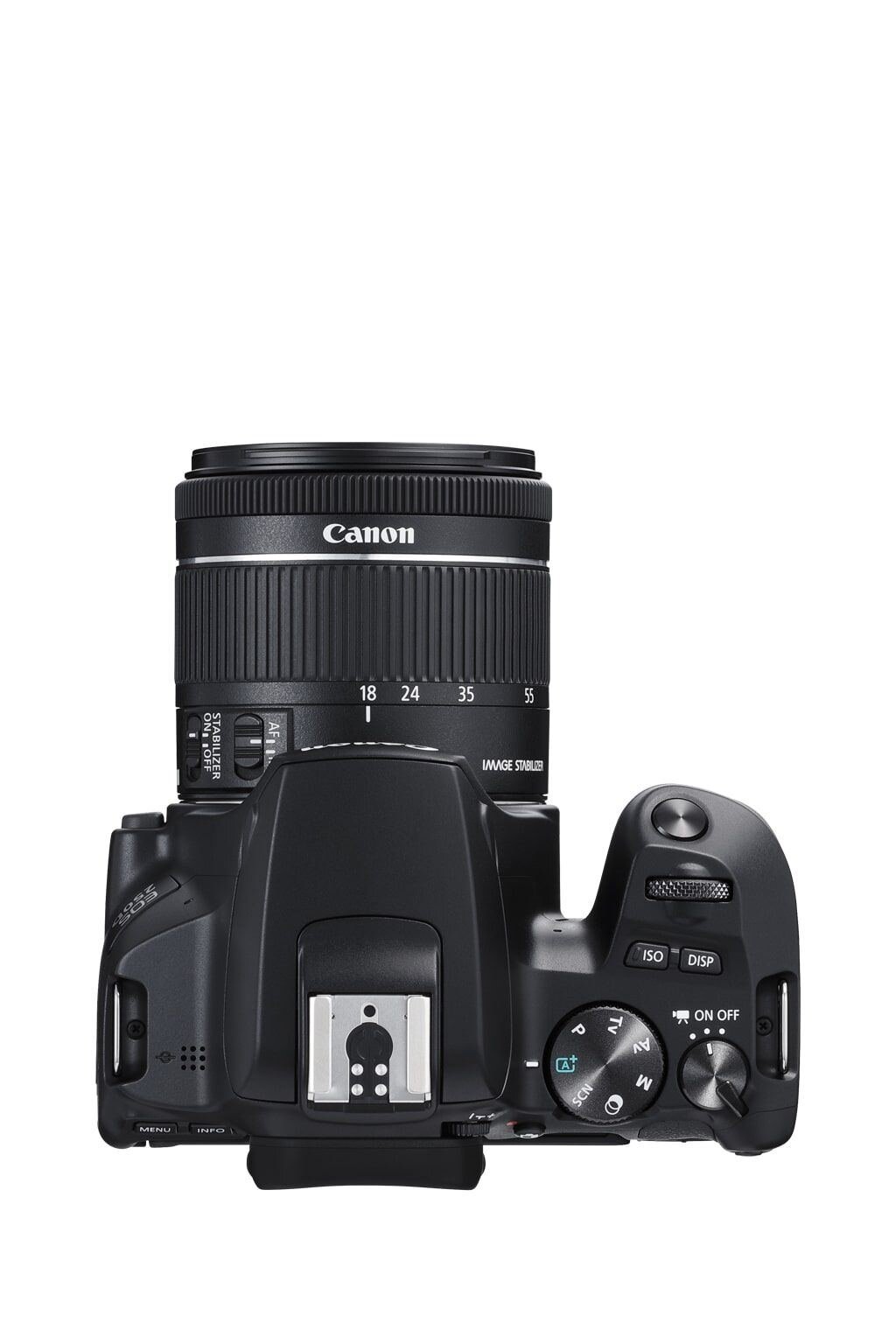 Canon EOS 250D + EF-S 18-55mm 1:4-5,6 IS STM
