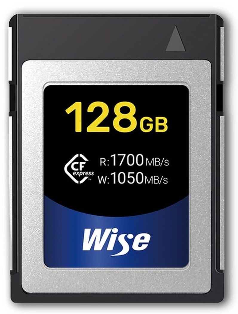 Wise CF Karte CFast 2.0 256GB