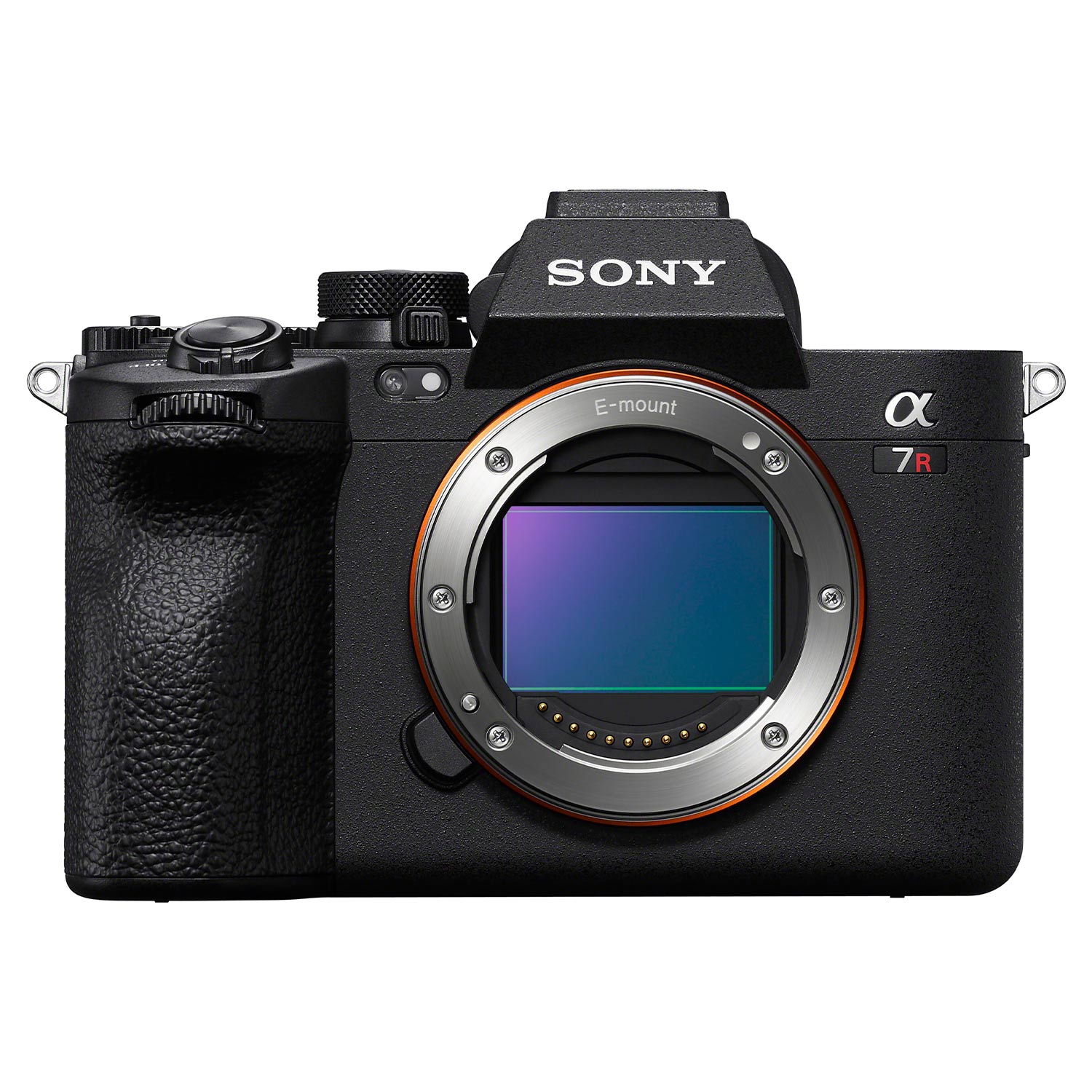 Sony Alpha 7R V (ILCE7RM5B) + Sony SEL FE 24-70mm 1:2,8 GM II (SEL2470GM2) E-Mount