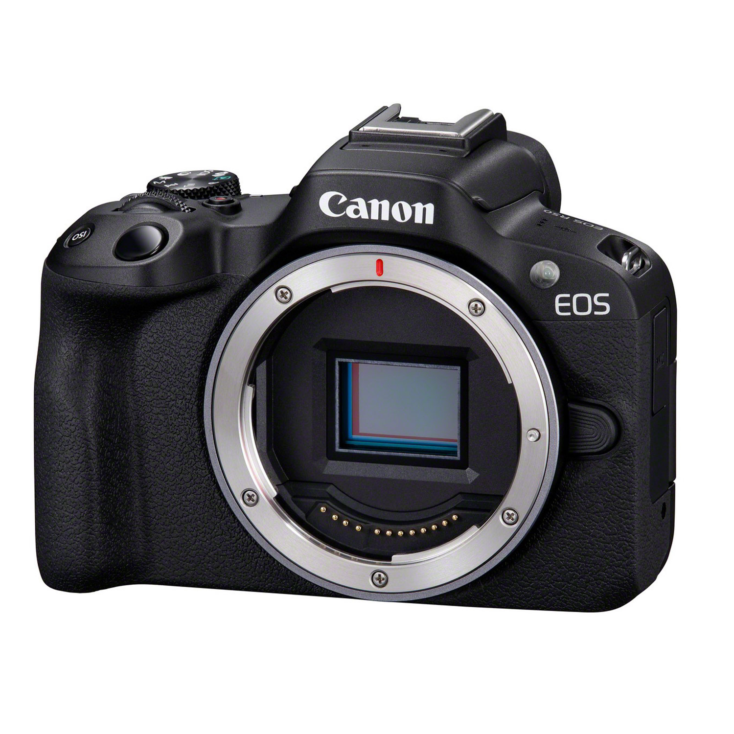 Canon EOS R50 Gehäuse schwarz