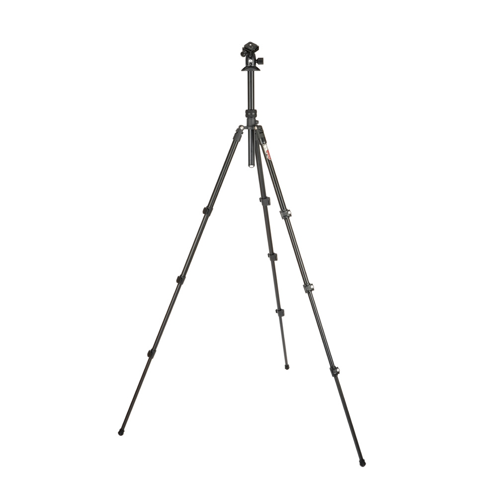 3 Legged Thing Punks Patti 2.0 + Airhed Darkness