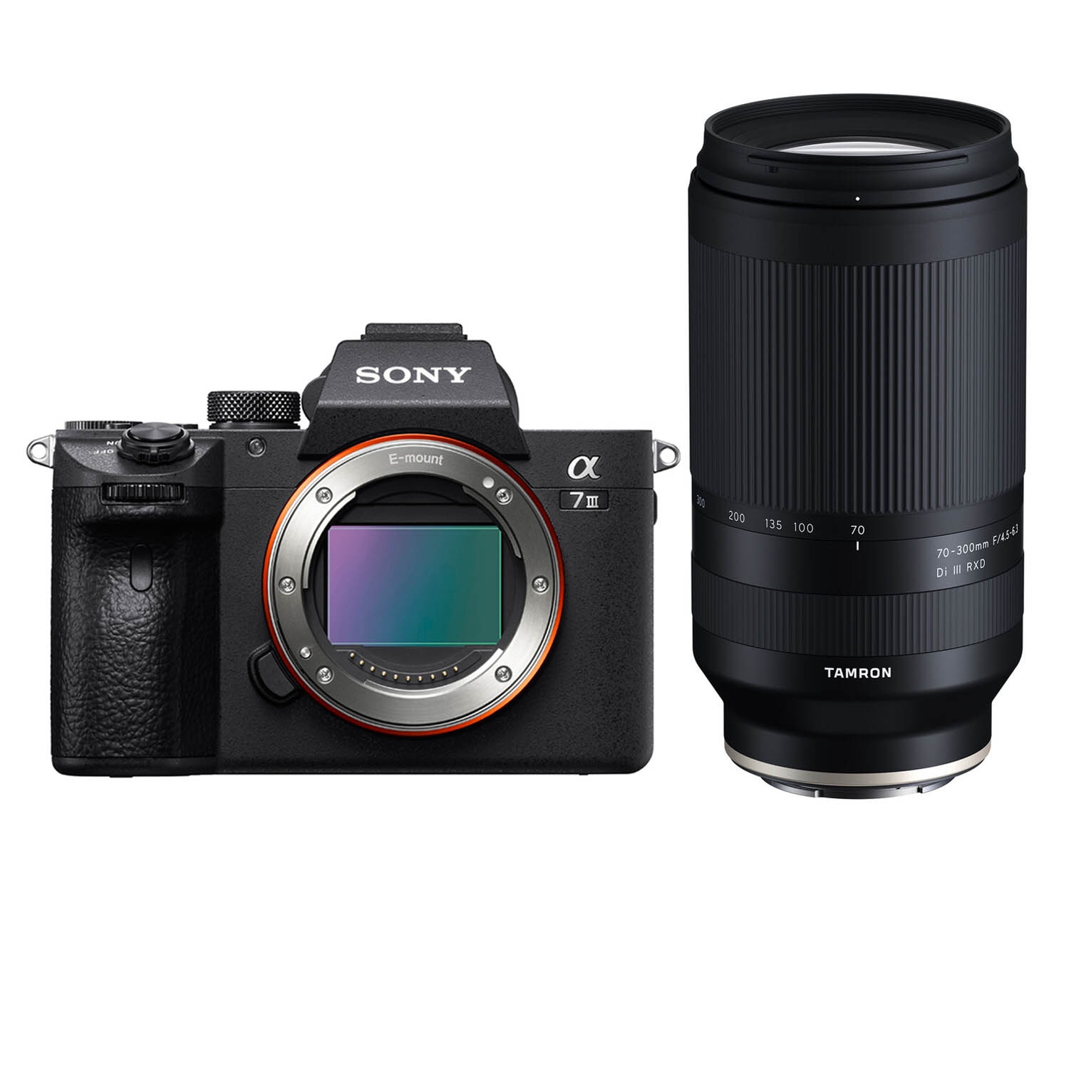 Sony Alpha 7 III (ILCE7M3B) + Tamron 70-300mm 1:4.5-6.3 Di III RXD
