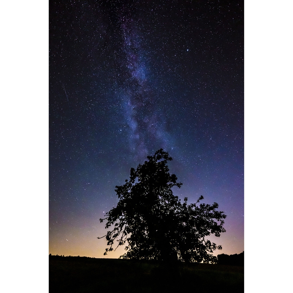 Leica SL2-S schwarz 10880 DEMO