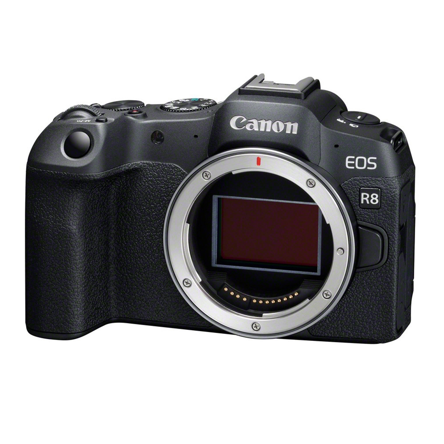 Canon EOS R8 + Canon RF 50mm 1:1.8 STM