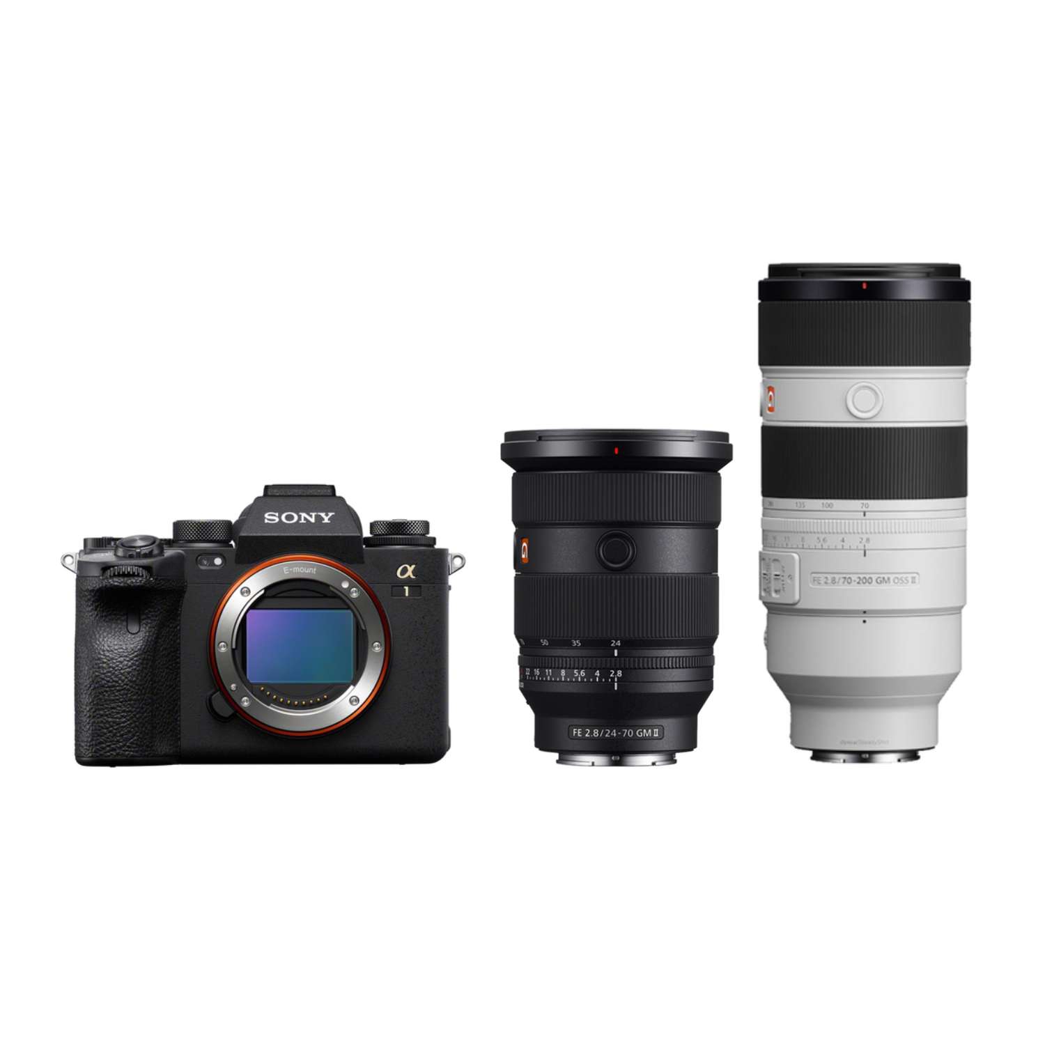 Sony Alpha 1 (ILCE-1) + SEL FE 24-70mm 1:2,8 GM II (SEL2470GM2) + SEL FE 70-200mm 1:2,8 GM II OSS (SEL70200GM2)