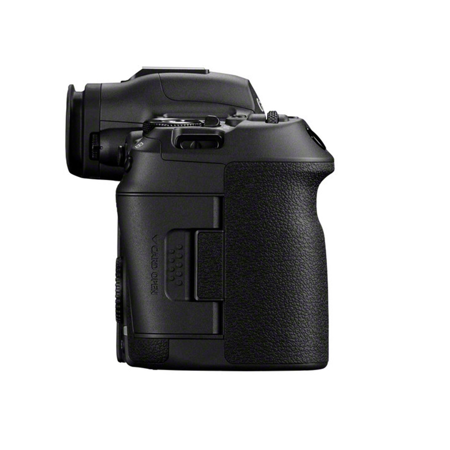 Canon EOS R5 Mark II + RF 100-500mm F4.5-7.1 L IS USM