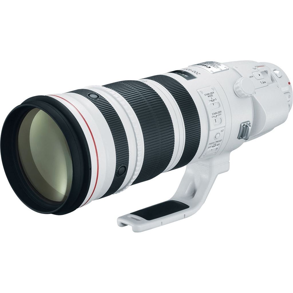 Canon EF 200-400mm 1:4L IS USM Extender 1,4x