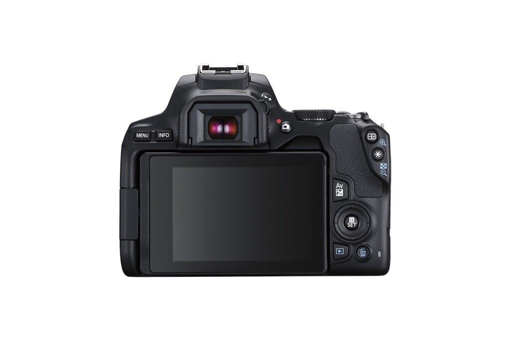 Canon EOS 250D + EF-S 18-55mm 1:4-5,6 IS STM