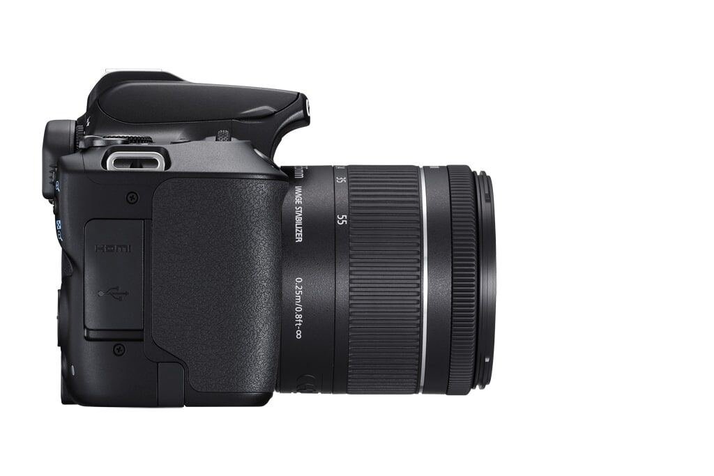 Canon EOS 250D + EF-S 18-55mm 1:4-5,6 IS STM
