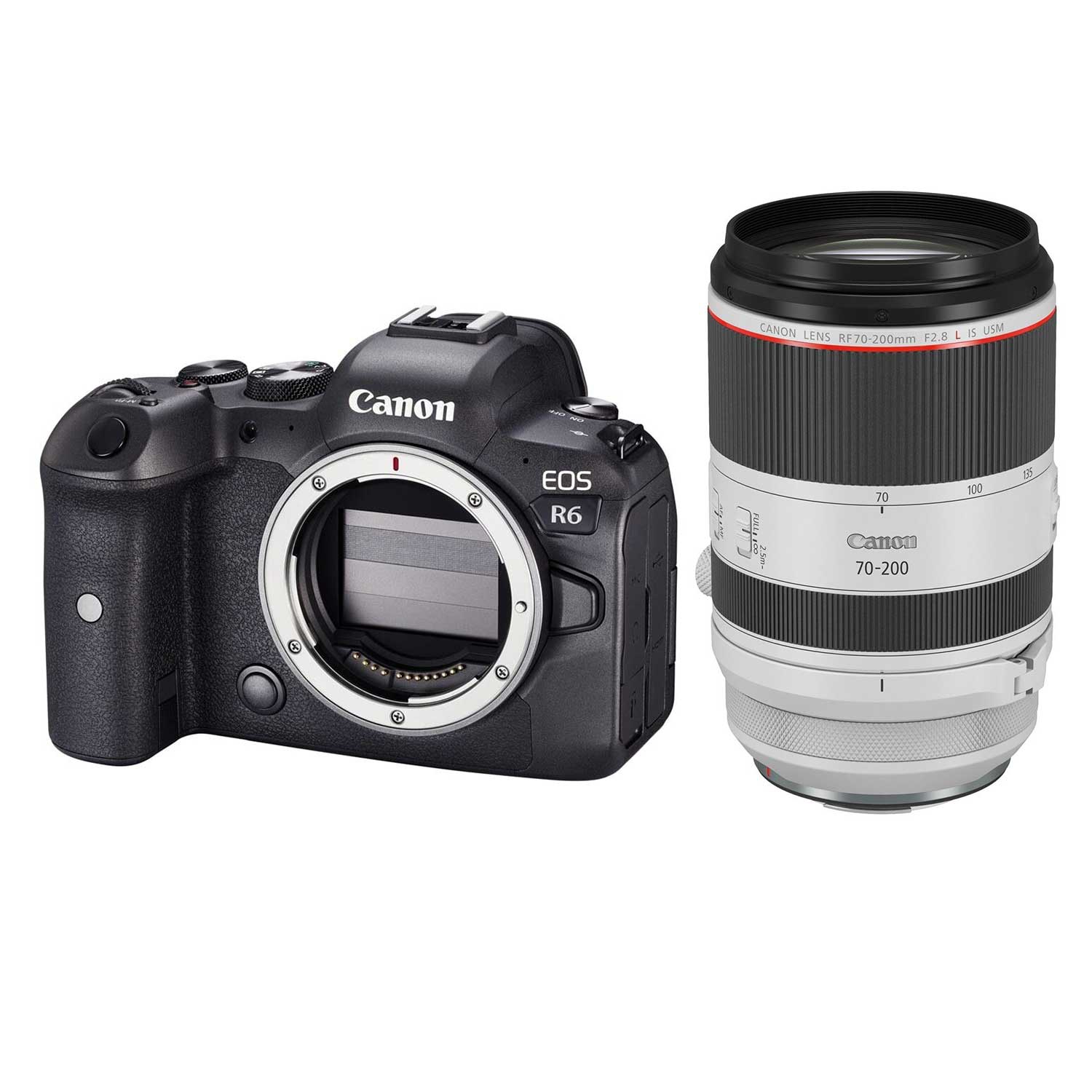 Canon EOS R6 + RF 70-200mm 1:2,8 L IS USM